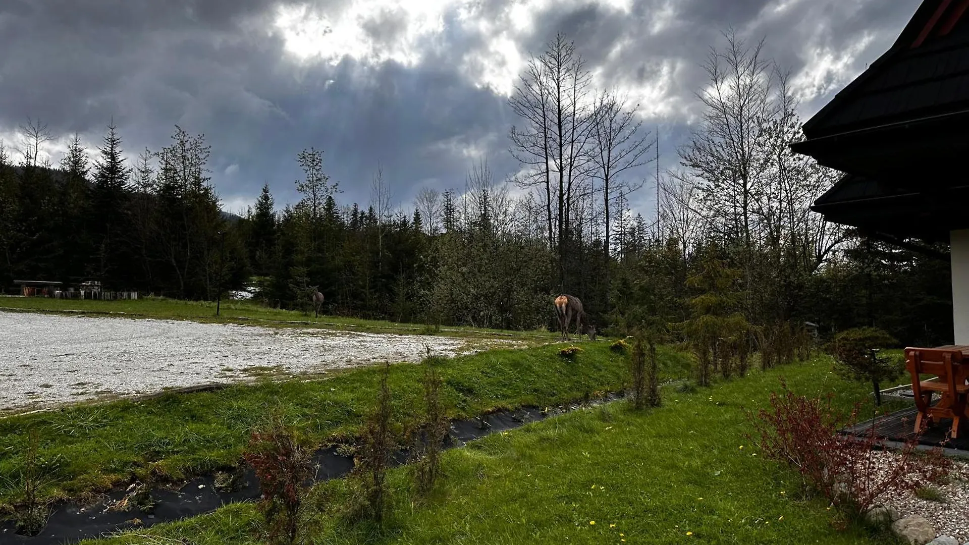 Apartamenty Willa Nika Zakopane Polsko