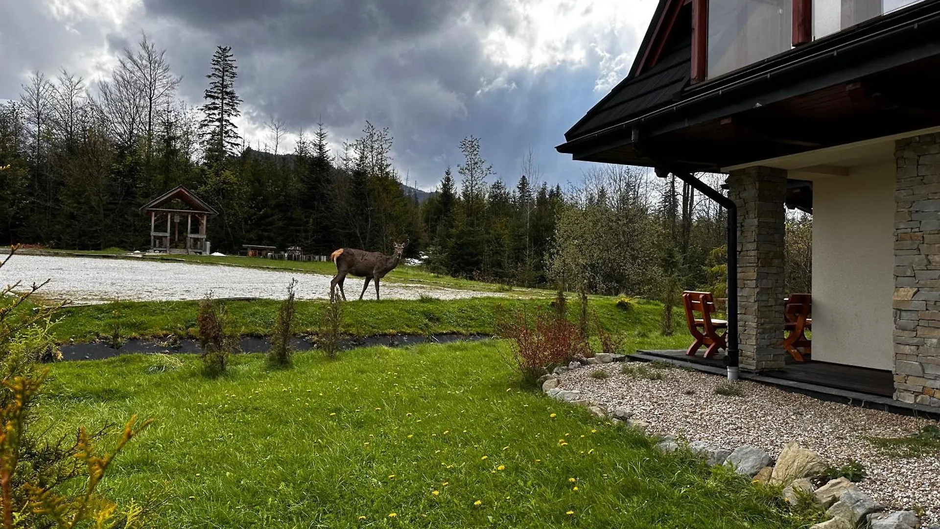 Apartamenty Willa Nika Zakopane Apartmán